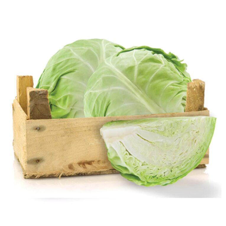 Cabbage