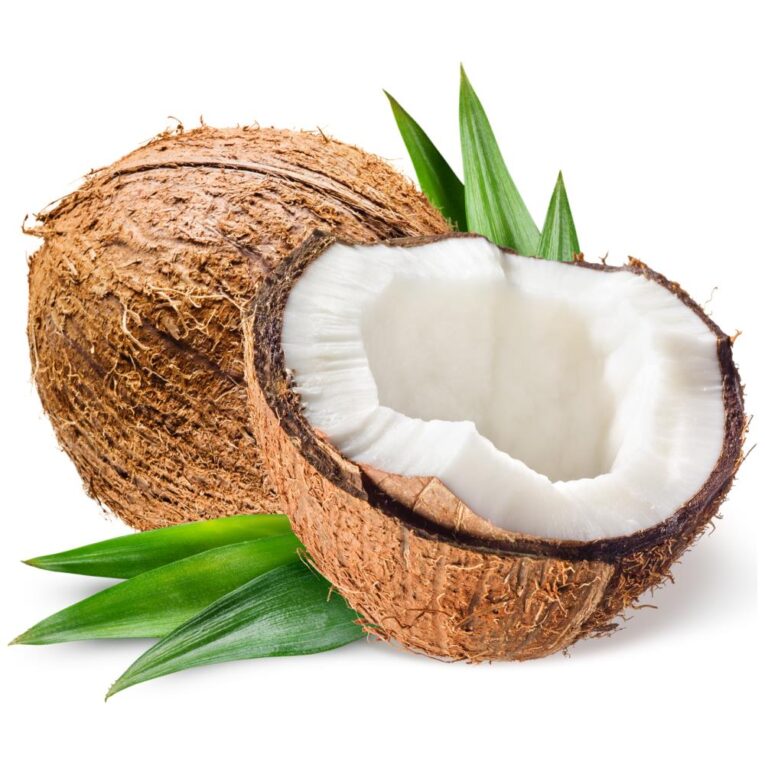 Coconut