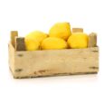 Lemons 1 kg