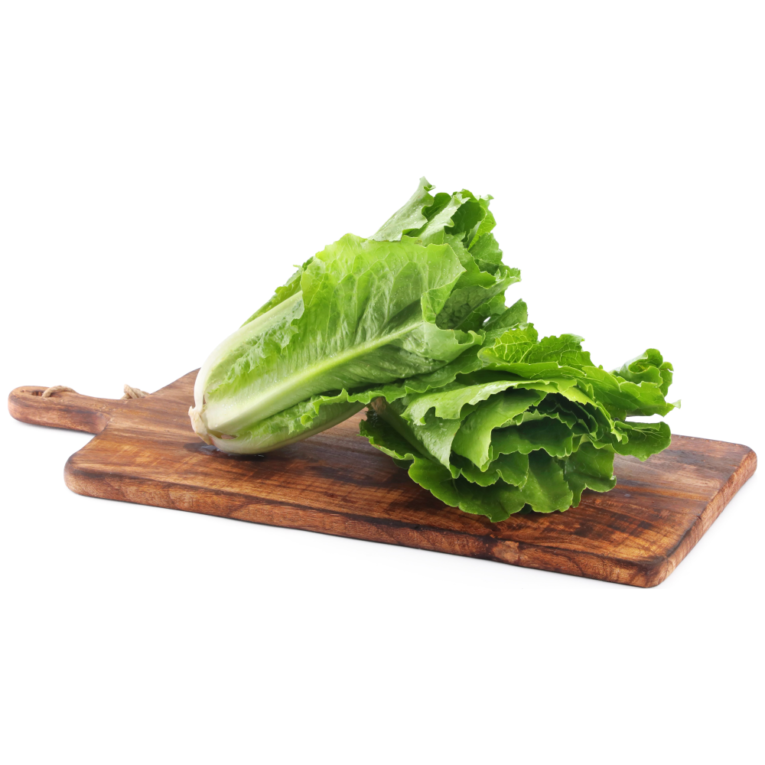 Lettuce