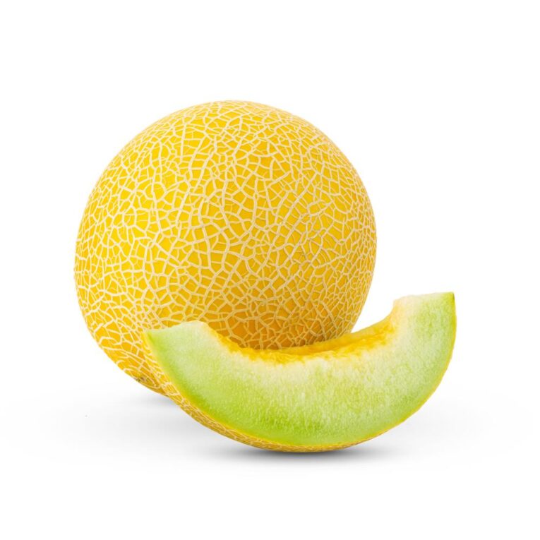 Melon