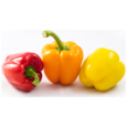 Mixed Peppers
