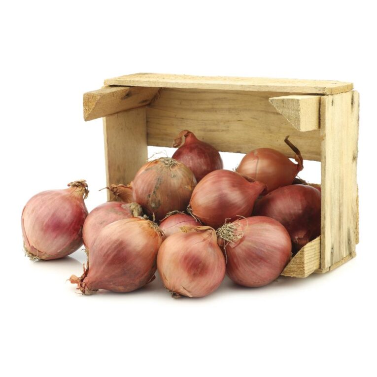 Onions