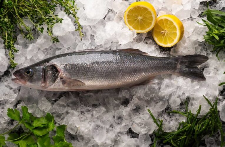 sea bass werun4u